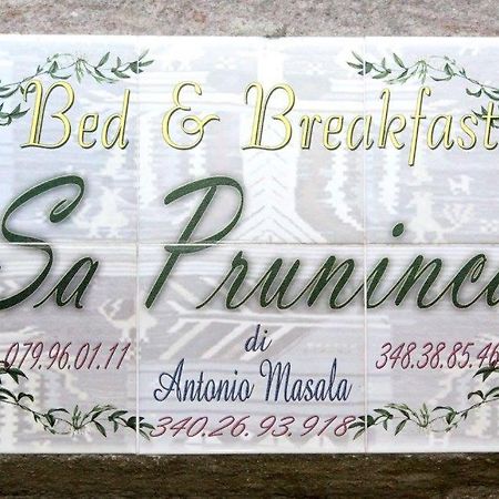 빌라노바 몬텔레오네 Sa Pruninca B&B 외부 사진